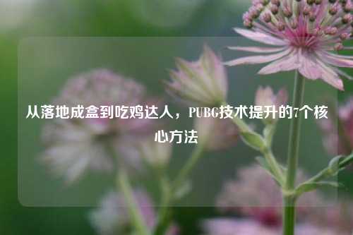 从落地成盒到吃鸡达人，PUBG技术提升的7个核心方法