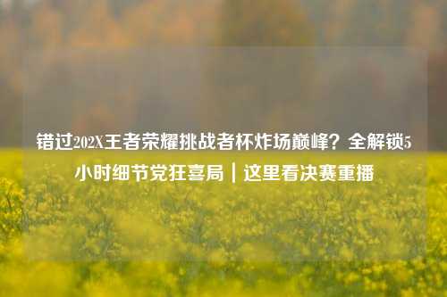 错过202X王者荣耀挑战者杯炸场巅峰?全解锁5小时细节党狂喜局|这里看决赛重播