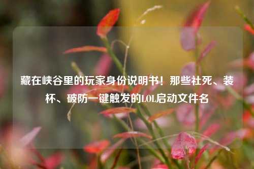 藏在峡谷里的玩家身份说明书!那些社死、装杯、破防一键触发的LOL启动文件名