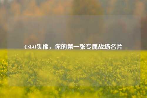 CSGO头像,你的第一张专属战场名片