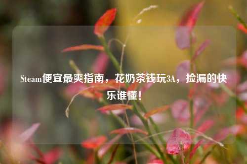 Steam便宜最爽指南,花奶茶钱玩3A,捡漏的快乐谁懂!