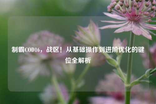 制霸COD16,战区!从基础操作到进阶优化的键位全解析