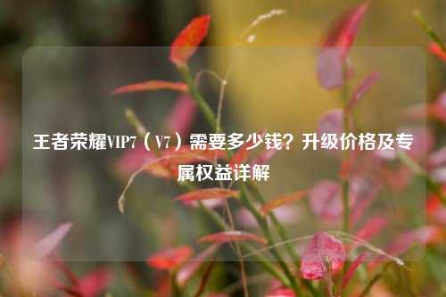王者荣耀VIP7(V7)需要多少钱?升级价格及专属权益详解