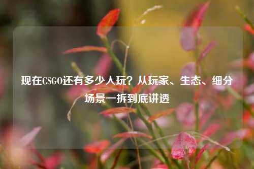 现在CSGO还有多少人玩?从玩家、生态、细分场景一拆到底讲透