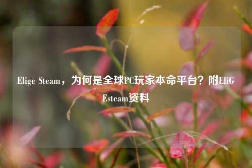 Elige Steam，为何是全球PC玩家本命平台？附EliGEsteam资料