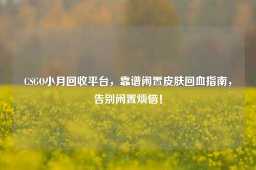 CSGO小月回收平台,靠谱闲置皮肤回血指南,告别闲置烦恼!