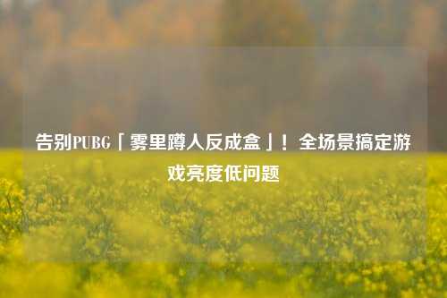 告别PUBG「雾里蹲人反成盒」!全场景搞定游戏亮度低问题