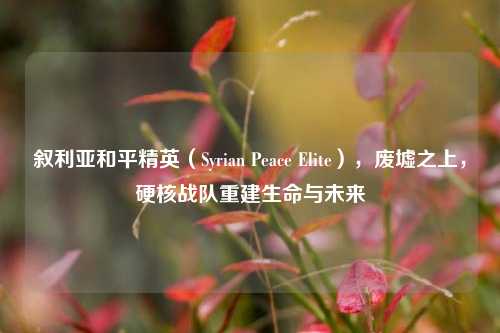 叙利亚和平精英(Syrian Peace Elite),废墟之上,硬核战队重建生命与未来