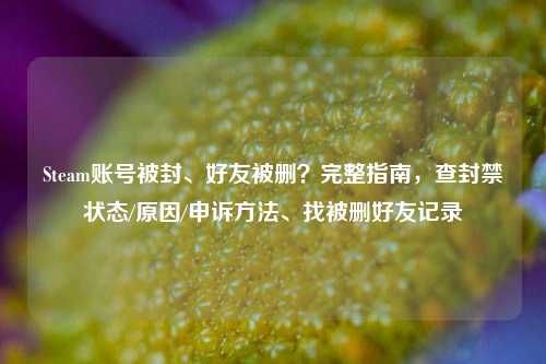 Steam账号被封、好友被删?完整指南,查封禁状态/原因/申诉方法、找被删好友记录