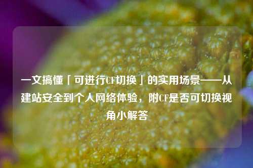 一文搞懂「可进行CF切换」的实用场景——从建站安全到个人网络体验,附CF是否可切换视角小解答