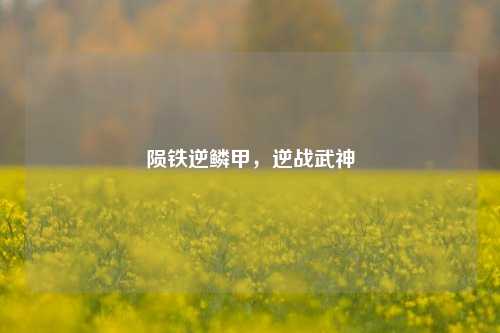 陨铁逆鳞甲,逆战武神