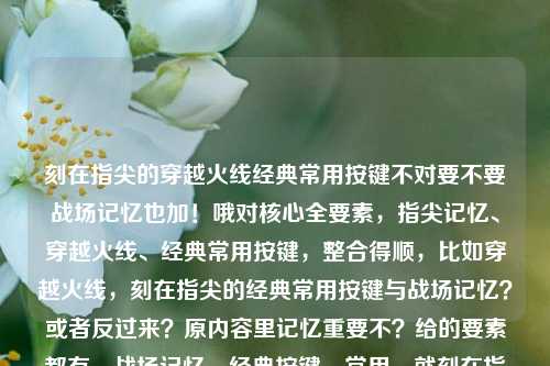 刻在指尖的穿越火线经典常用按键不对要不要战场记忆也加!哦对核心全要素,指尖记忆、穿越火线、经典常用按键,整合得顺,比如穿越火线,刻在指尖的经典常用按键与战场记忆?或者反过来?原内容里记忆重要不?给的要素都有,战场记忆、经典按键、常用,就刻在指尖的穿越火线经典常用按键?或者穿越火线,刻在指尖的经典常用CF?不重复,直接穿越火线,刻在指尖的经典常用按键与战场记忆?穿越火线,刻在指尖的经典常用按键与战场记忆