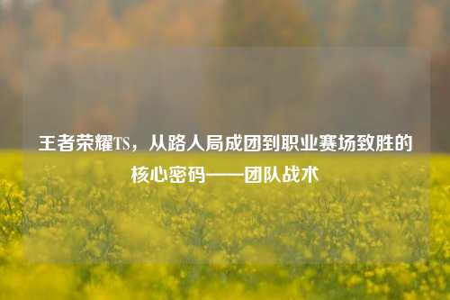 王者荣耀TS,从路人局成团到职业赛场致胜的核心密码——团队战术