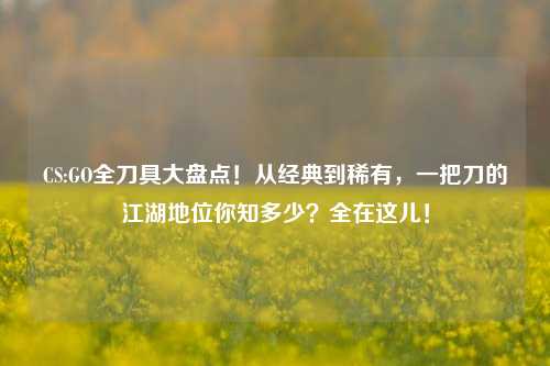 CS:GO全刀具大盘点!从经典到稀有,一把刀的江湖地位你知多少?全在这儿!