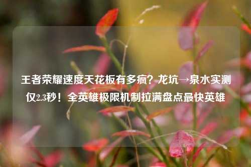 王者荣耀速度天花板有多疯?龙坑→泉水实测仅2.3秒!全英雄极限机制拉满盘点最快英雄