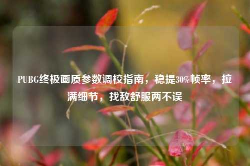 PUBG终极画质参数调校指南,稳提30%帧率,拉满细节,找敌舒服两不误