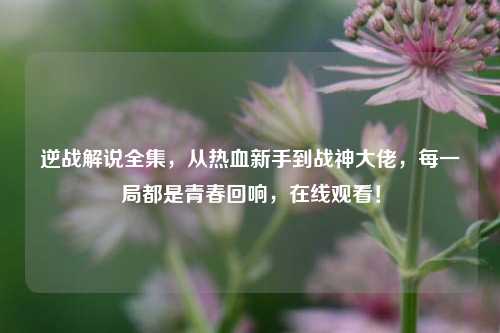 逆战解说全集,从热血新手到战神大佬,每一局都是青春回响,在线观看!