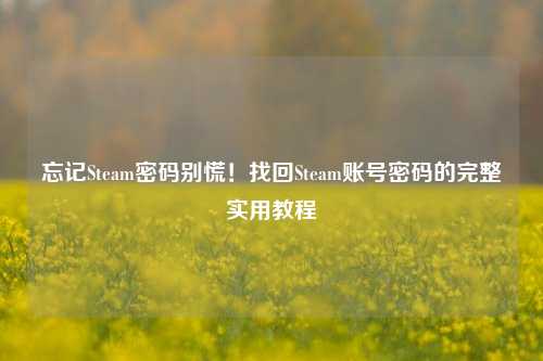 忘记Steam密码别慌!找回Steam账号密码的完整实用教程