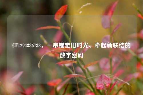 CF1294886788,一串锚定旧时光、牵起新联结的数字密码