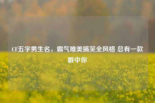 CF五字男生名,霸气唯美搞笑全风格 总有一款戳中你