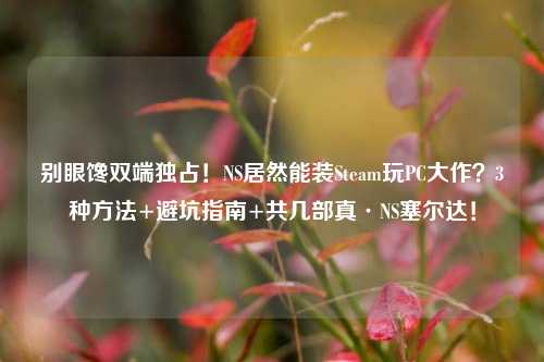 别眼馋双端独占!NS居然能装Steam玩PC大作?3种方法+避坑指南+共几部真·NS塞尔达!