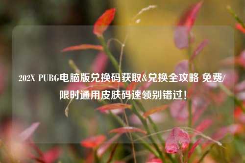 202X PUBG电脑版兑换码获取&兑换全攻略 免费/限时通用皮肤码速领别错过!