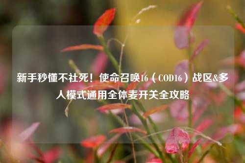 新手秒懂不社死!使命召唤16(COD16)战区&多人模式通用全体麦开关全攻略