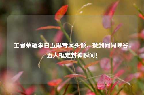 王者荣耀李白五黑专属头像,携剑同闯峡谷,五人框定封神瞬间!