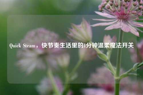 Quick Steam,快节奏生活里的1分钟温柔魔法开关