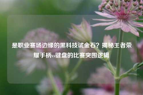 是职业赛场边缘的黑科技试金石?揭秘王者荣耀手柄vs键盘的比赛突围逻辑