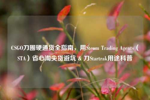 CSGO刀圈硬通货全指南,用Steam Trading Agents(STA)省心淘尖货避坑 & 刀Startrak用途科普