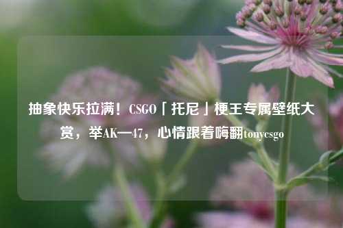 抽象快乐拉满!CSGO「托尼」梗王专属壁纸大赏,举AK—47,心情跟着嗨翻tonycsgo