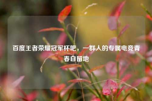 百度王者荣耀冠军杯吧,一群人的专属电竞青春自留地