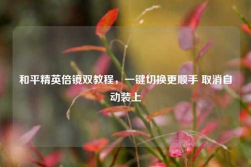 和平精英倍镜双教程,一键切换更顺手 取消自动装上