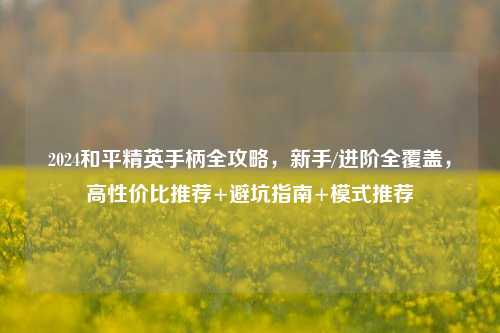 2024和平精英手柄全攻略,新手/进阶全覆盖,高性价比推荐+避坑指南+模式推荐