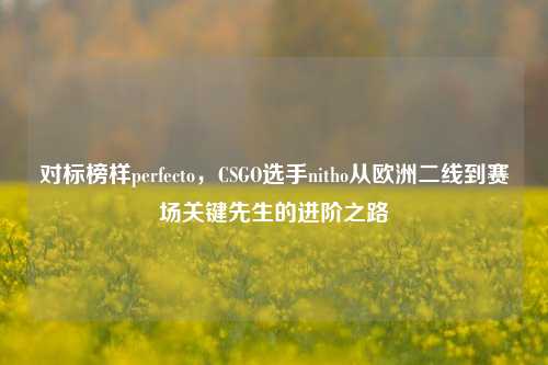 对标榜样perfecto,CSGO选手nitho从欧洲二线到赛场关键先生的进阶之路