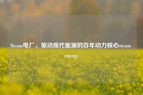 Steam电厂,驱动现代能源的百年动力核心steam energy
