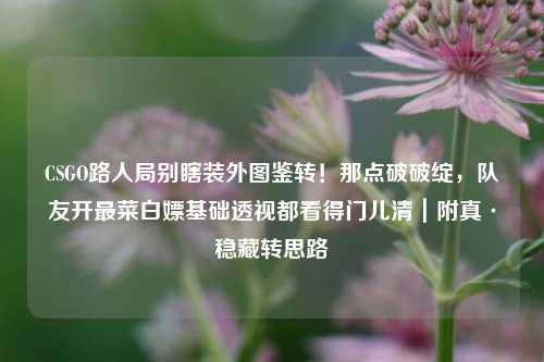 CSGO路人局别瞎装外图鉴转!那点破破绽,队友开最菜白嫖基础透视都看得门儿清|附真·稳藏转思路