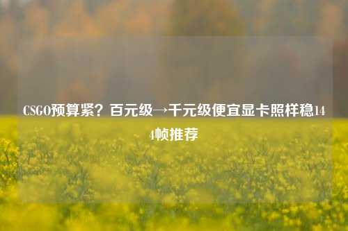 CSGO预算紧?百元级→千元级便宜显卡照样稳144帧推荐