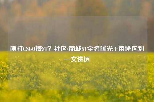 刚打CSGO懵ST？社区/商城ST全名曝光+用途区别一文讲透