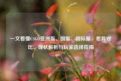 一文看懂CSGO亚洲版、国服、国际服,差异对比、现状解析与玩家选择指南