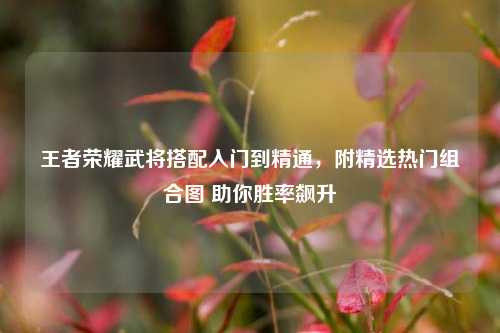 王者荣耀武将搭配入门到精通,附精选热门组合图 助你胜率飙升