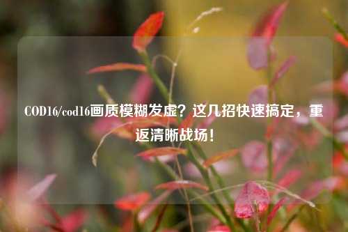 COD16/cod16画质模糊发虚?这几招快速搞定,重返清晰战场!