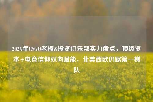 202X年CSGO老板&投资俱乐部实力盘点，顶级资本+电竞信仰双向赋能，北美西欧仍踞第一梯队