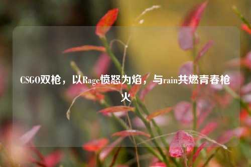 CSGO双枪,以Rage愤怒为焰,与rain共燃青春枪火