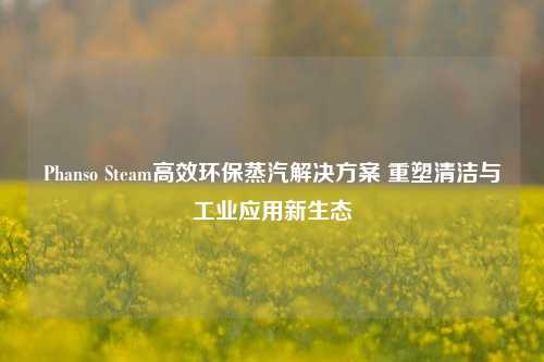 Phanso Steam高效环保蒸汽解决方案 重塑清洁与工业应用新生态