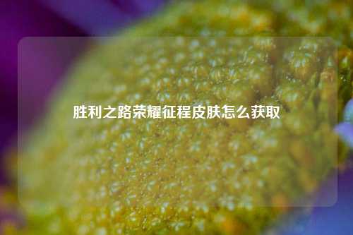 胜利之路荣耀征程皮肤怎么获取