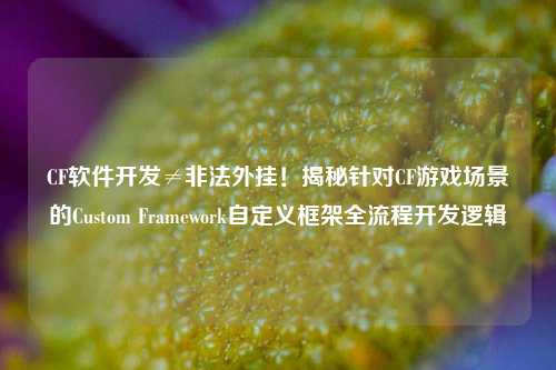 CF软件开发≠非法外挂！揭秘针对CF游戏场景的Custom Framework自定义框架全流程开发逻辑