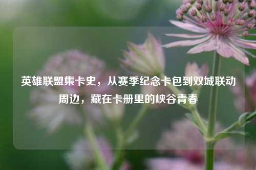 英雄联盟集卡史，从赛季纪念卡包到双城联动周边，藏在卡册里的峡谷青春