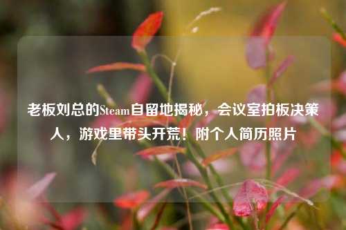 老板刘总的Steam自留地揭秘,会议室拍板决策人,游戏里带头开荒!附个人简历照片